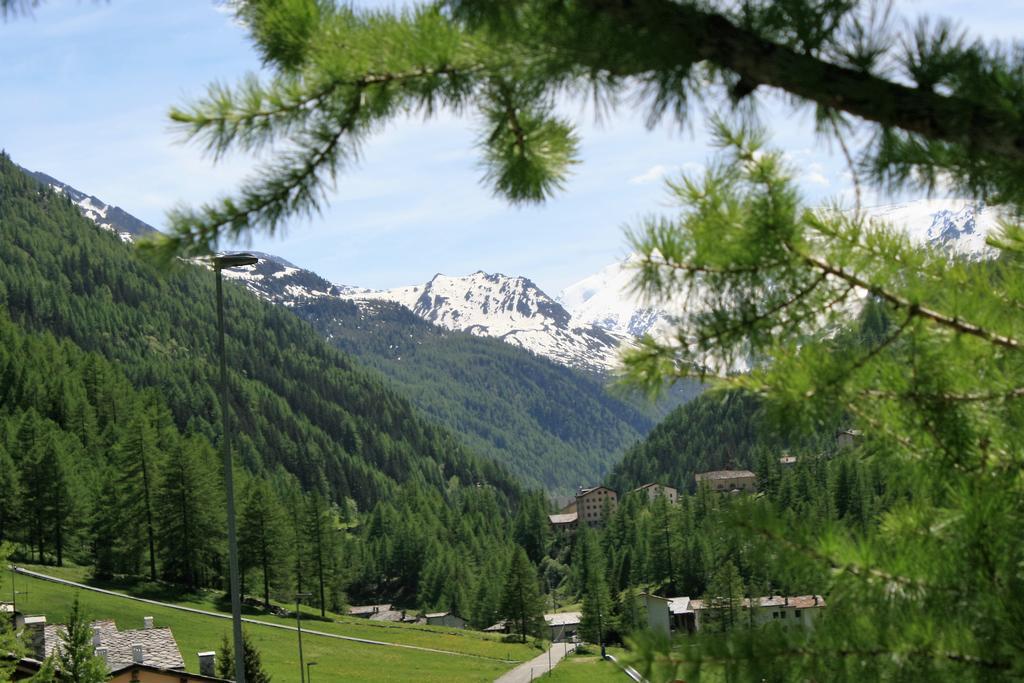 Maison Des Myrtilles Hotel Valgrisenche Bagian luar foto