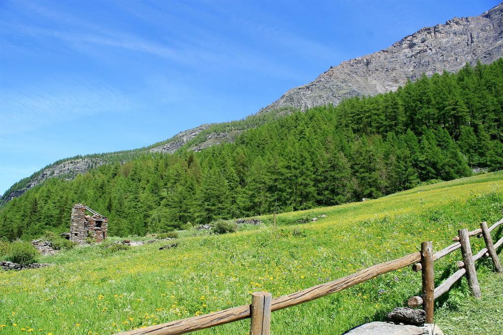 Maison Des Myrtilles Hotel Valgrisenche Bagian luar foto