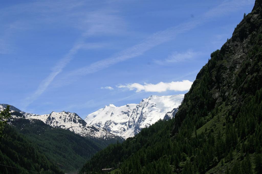 Maison Des Myrtilles Hotel Valgrisenche Bagian luar foto